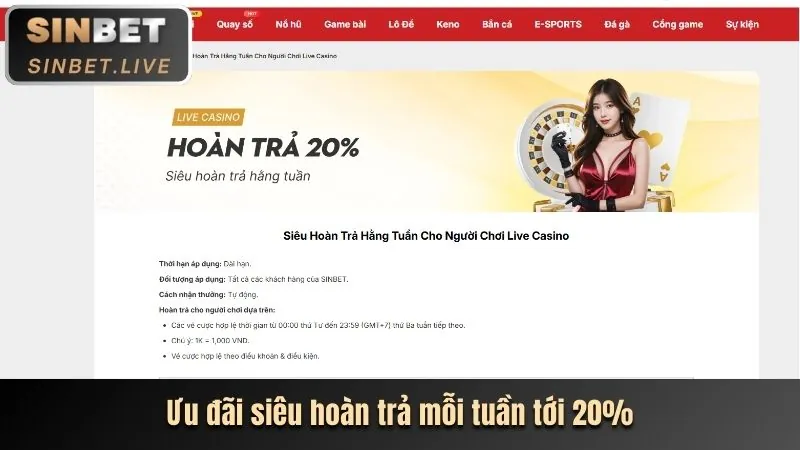 Trải nghiệm sòng bạc trực tuyến 6686bet Casino với dealer người thật